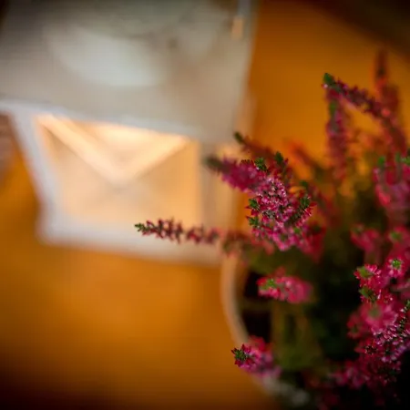 Lipowy Dwor Zakopane