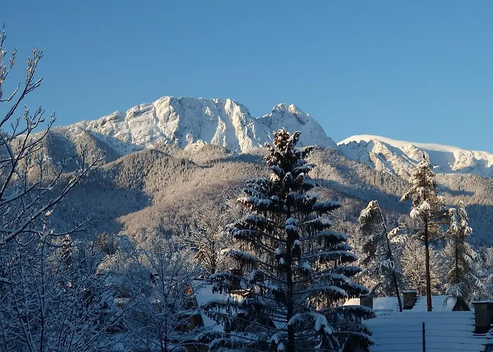 Lipowy Dwor * Zakopane