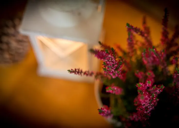 Lipowy Dwor Zakopane