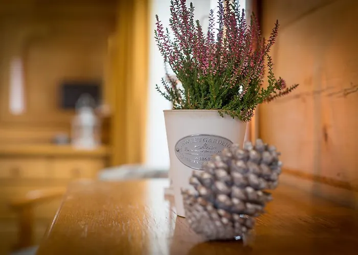 בית הארחה Lipowy Dwor זקופאנה